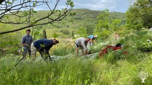 Moment de plantation