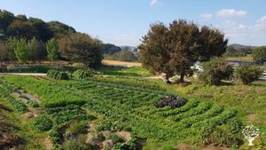 <GG120>행복한 닭이 행복한 세상을 만드는 공동체/ A community where happy chickens create a happy world.