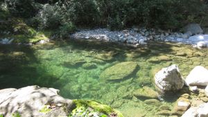Piccola azienda di piccoli frutti e ortaggi a conduzione familiare vicino al Monte  Rosa