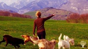 Centro Per Cani Fattoria Nelle Montagne Della Lessinia WWOOF Italia Centro Per Cani Fattoria Nelle Montagne Della Lessinia WWOOF Italia
