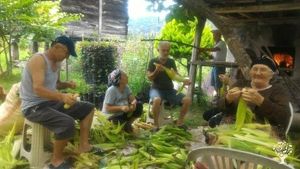 Fırında Süt mısır kurutma