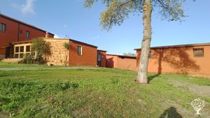 Az Agricola e allevamento cavalli