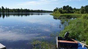 Need help last week in July 2025! Family home and garden - rural, Homestead, Hobby Farm