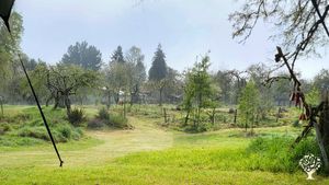 Family home and garden - rural, Eco Lodge/Wilderness Adventures, Fruit tree nursery, Mixed Farm