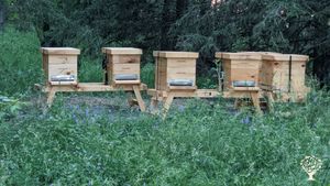 Ferme familiale