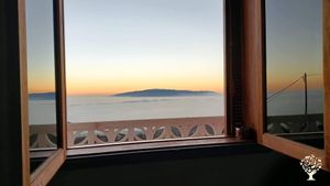 Family home and garden - rural, Family farm