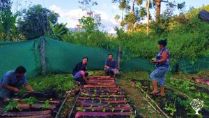 Family farm