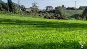 Azienda Agricola biologica con orto frutteto da realizzare e animali
