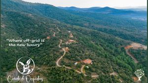 Eco-Homestead, Retreat & Adobe houses: land and garden projects in a prestine rural setting.