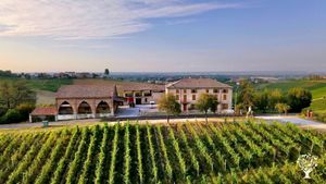 Azienda agricola e Casa Vacanza 