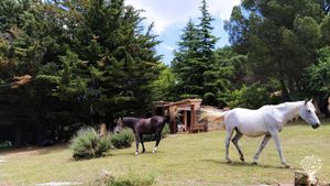 Azienda zootecnica e agrituristica sulle Madonie in Sicilia