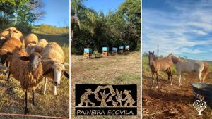 Agrovila Agroecológica com práticas em permacultura e bioconstrução