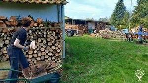 Nachhaltige Gartenentwicklung auf Rügen