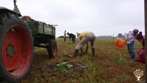 Inklusive Hofgemeinschaft mit Bioland-Landwirtschaft, Renovierung denkmalgeschütztes Fachwerkhaus