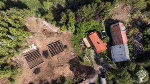 Regenerative farm, vegetebales, fruit, meat.