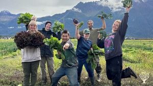 Organic vegetable farm in the matanuska valley