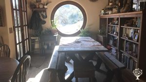 Creating a homestead that provides healthy food, fun, a healing space, and learning opportunities