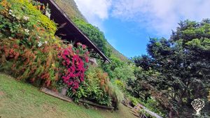 We are a new  Eco-Retreat & Organic Farm on the Caribbean Island of Sint Maarten.