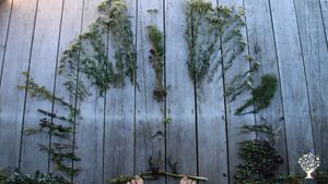 Selbstversorger Hof am Fuße der Berge im Priental