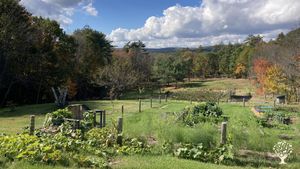 Small diversified permaculture farm in New Hanpshire