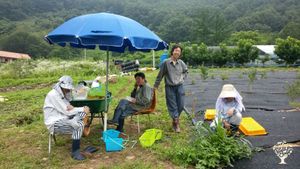 <CB109>숲과 사람을 만나다 / Meeting the Forest and People