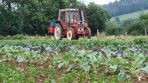 Ferme maraichère biologique