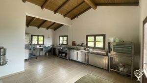 Cucina sociale, con set industriale