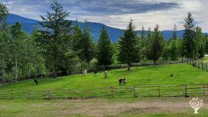 Beautiful Farmstead surrounded by wilderness in the North Thompson.