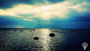 Non-for-profit classical music project becoming self sufficient