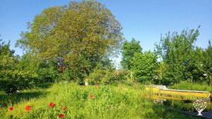 Educational project and 'voedselbostuin'