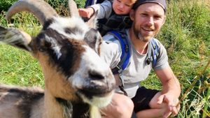 Livestock Farm, Farm, Family farm