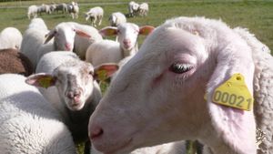 Ferme certifiée AB & Ecocert
