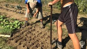 Azienda agricola rigenerativa in Romagna  zona pedecollinare.