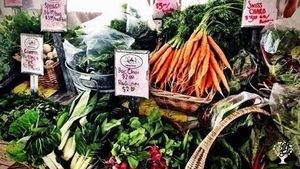 Year-round farm that is a 20 acre peri-urban organic farm with 100+ member CSA in Missouri