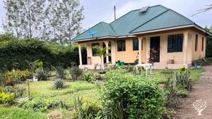 Organic homestead/Farmstead on the slopes of Mt Meru close to a National Park