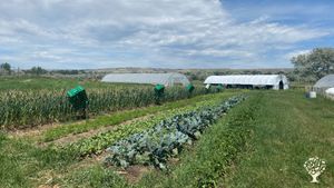 One-acre market garden