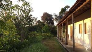 Homestead, Farm