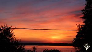 Family home and garden - rural, Nature preserve