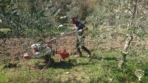 Azienda agricola sociale