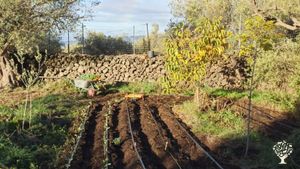 Casa familiare e giardino - rurale, Sito ecoturistico , Orto commerciale, Frutteto
