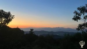 Sítio com produção focada em café agroecológico, com uma nanotorrefação no local.