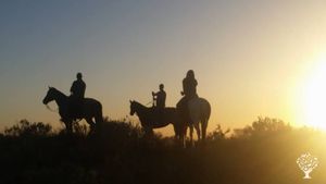 Horse care and gardening in Idaho