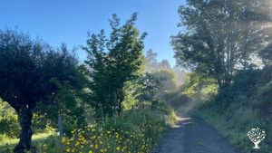 Beginning of a food forest and organic dairy farm in central  Portugal