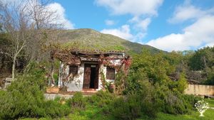 Huerta ecológica permacultural con técnicas sintrópicas para uso familiar