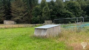 2 acre smallholding in the Scottish Highlands