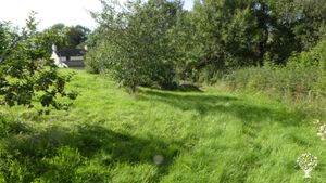 A small site with a forest garden, orchard, vegetable and flower gardens and grassland with trees.