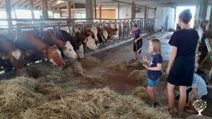 Kindertag auf unserem Hof. Wir machen jedes Jahr einen Tag für Kinder mit besonderen Bedürfnissen