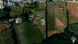 Azienda agricola che pratica l'agricoltura sintropica, situata  nel centro abitato di Depressa
