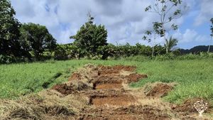 Nous produisons et utilisons des ressources végétales pour réhabiliter des sols pollués
