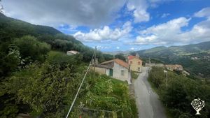 Noccioleti sui Nebrodi